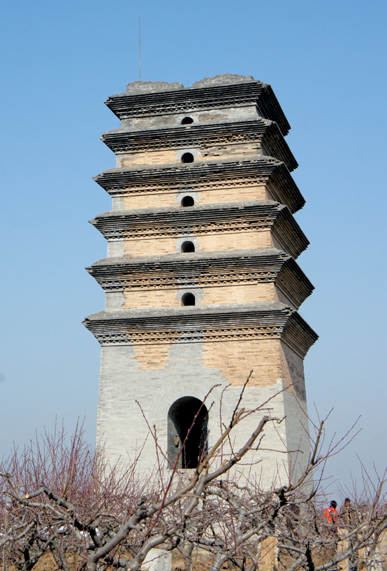 二龙塔