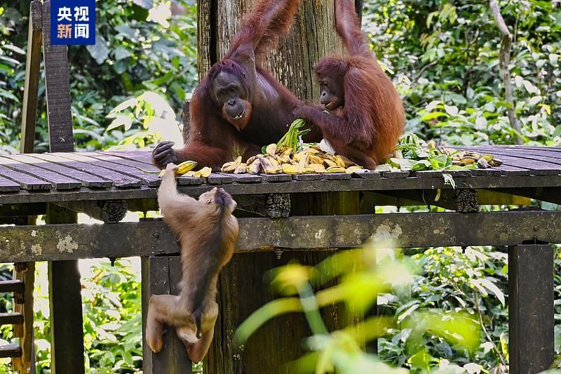 1744774751830793.jpg 8.jpg