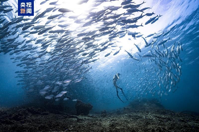 1744774764636989.jpg 10.jpg