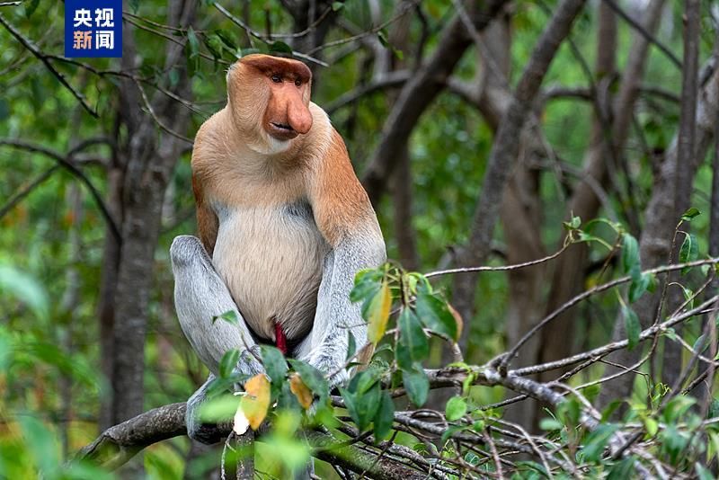 1744774744227348.jpg 7.jpg