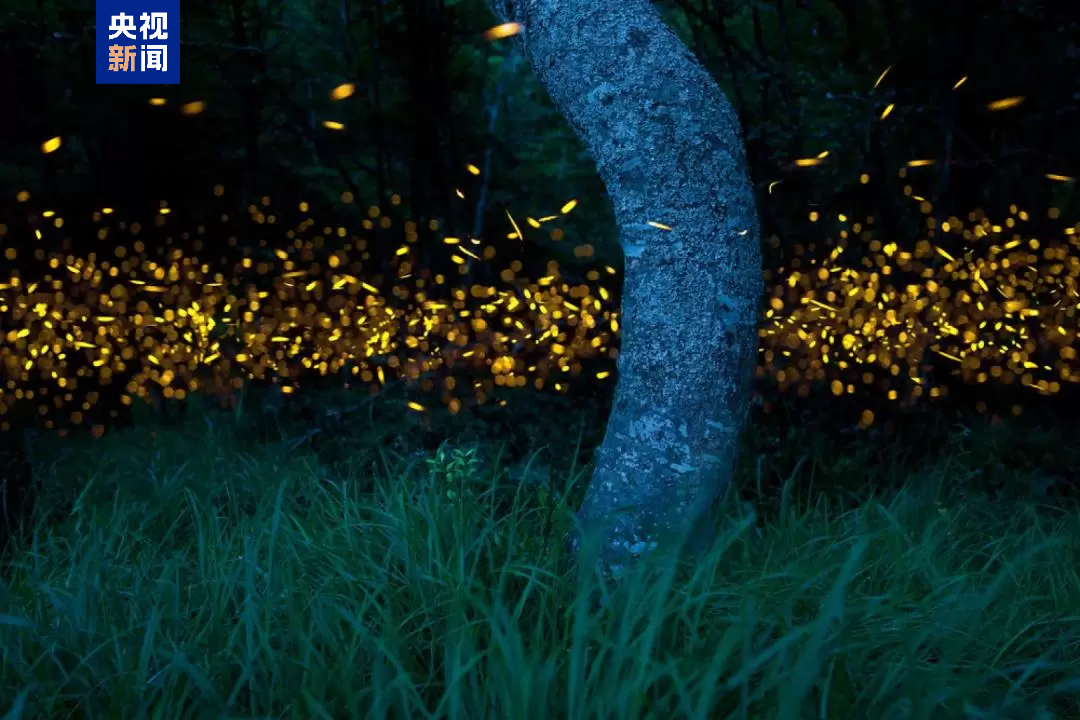 1744774758495758.png 9.png