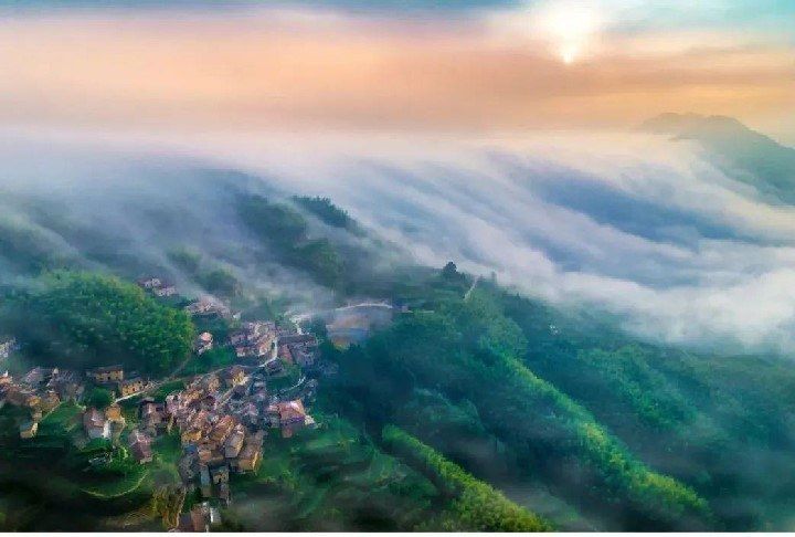 1755349785387200.jpg 09306941926415329bc3792d98fb55c6.jpg