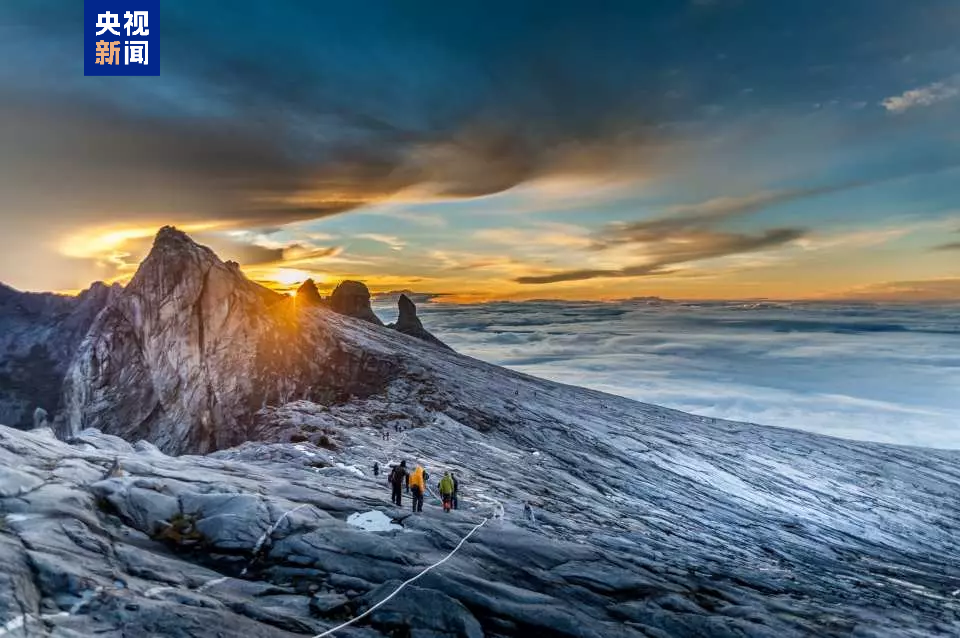 1744774663216630.png 313718b0fe8a459f805096a55fc240d8.png