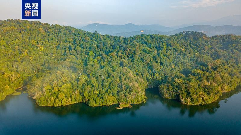 1744774671593950.jpg 4.jpg