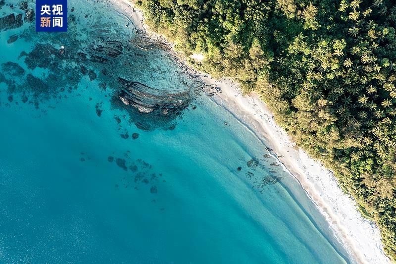 1744774549115672.jpg 1.jpg