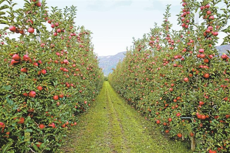 1766622428770913.png 微信图片_20251225082652.png