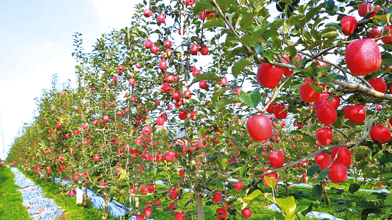 1760488262156762.png 3.png