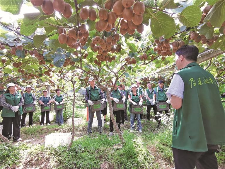 1763079710506431.png 微信图片_20251114082134.png