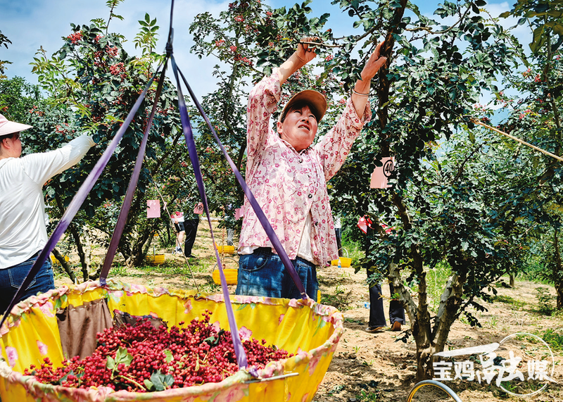 1753339649744842.png 9ea3a7ade816a14e98cd7aa8b5487450_img_158_494_401_286.png