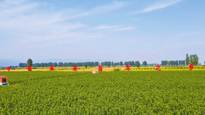 1760489108249497.png 6.png