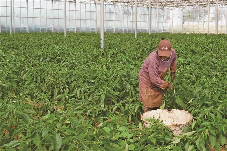 1764203282240396.png 微信图片_20251127082705.png