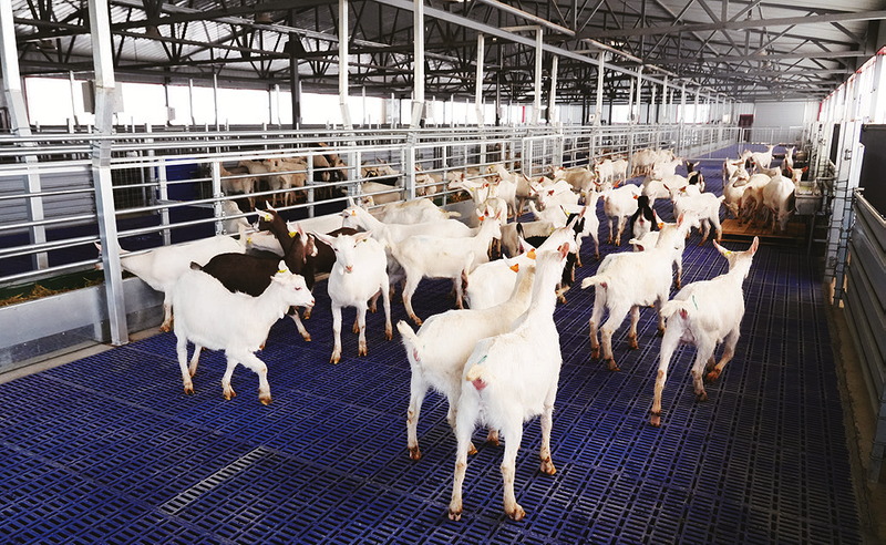 1744792129516043.png de058dd285bdfb36cf8533ab0fc14bd8_img_619_125_245_152.png