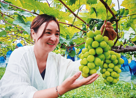 1758870468236276.png 52288dce65878d55086105d4bfd8d4dc_img_6_922_305_226.png