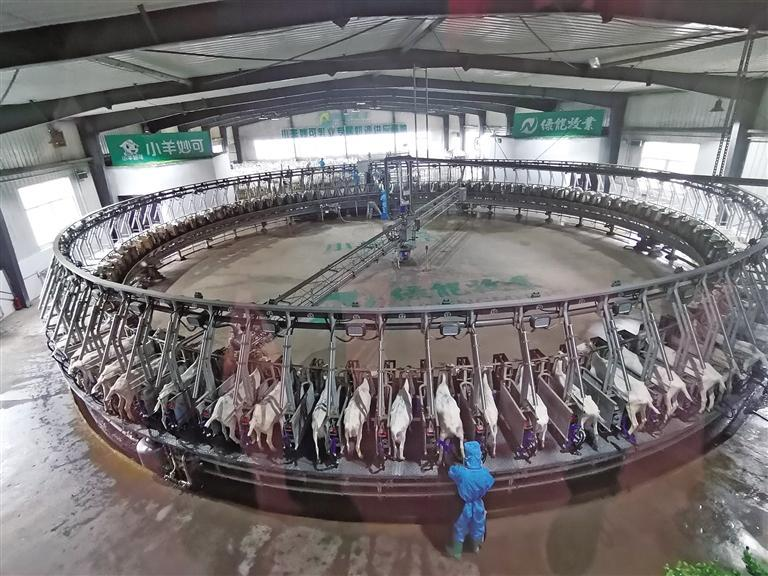 1752193531153980.png 微信图片_20250711082356.png