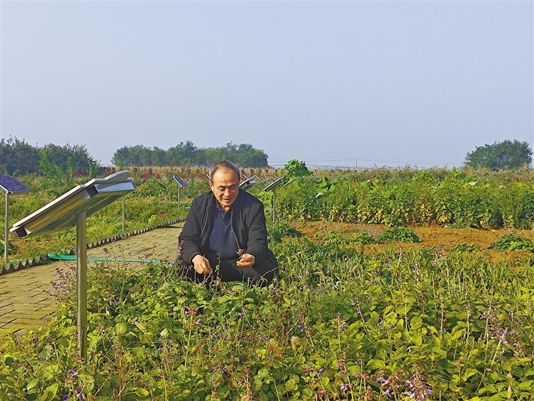 1761784065270348.png 微信图片_20251030082633.png