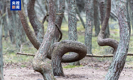 1746762442880865.png 1746762433740.png