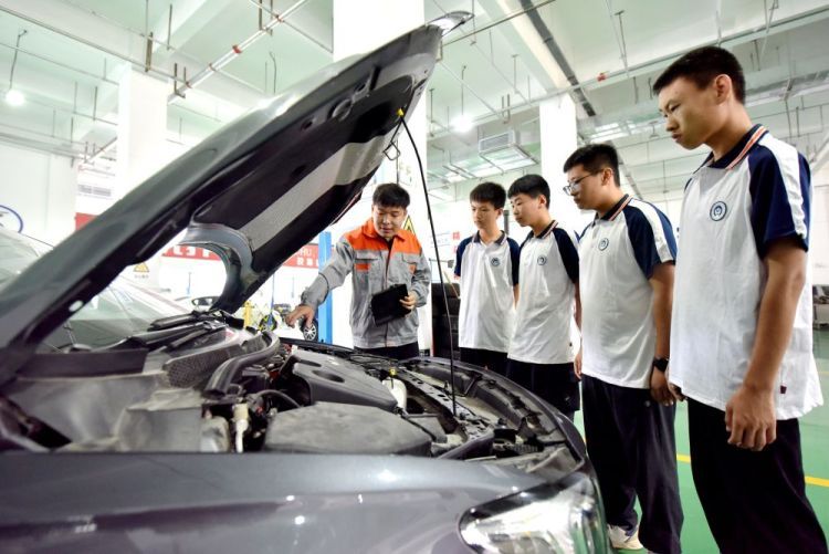 镜观·回响丨筑牢就业“压舱石” 守护群众幸福感