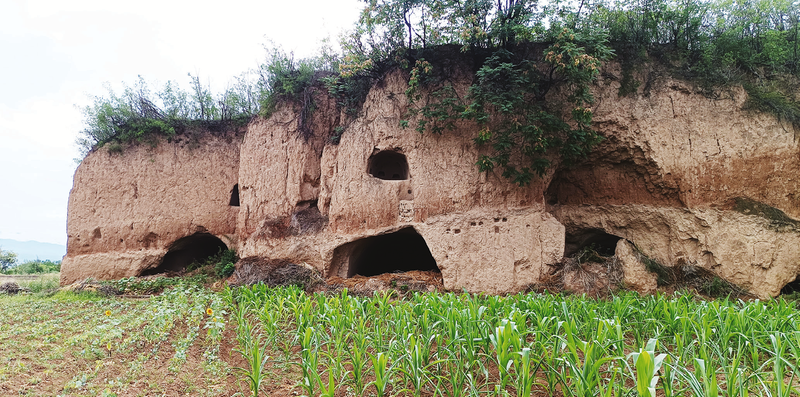 1756725160118966.png 4770d2b01ff745f3b0be44a2bb003fe4.png