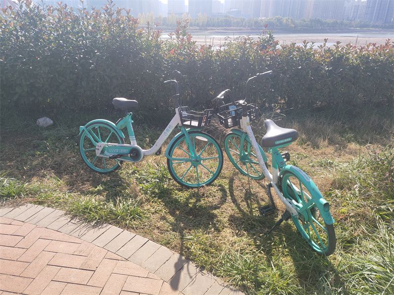 1764233850851182.jpg 1.jpg