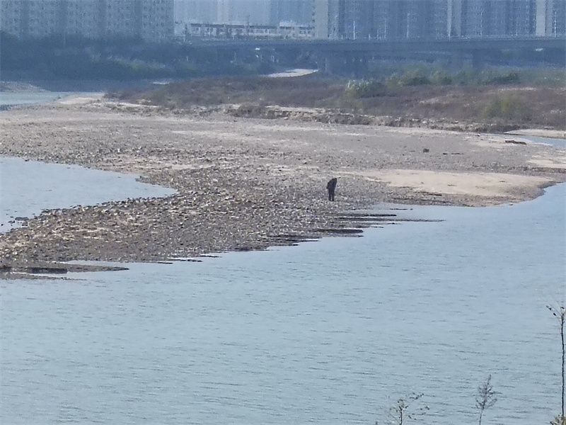 1764234052504431.jpg 3.jpg