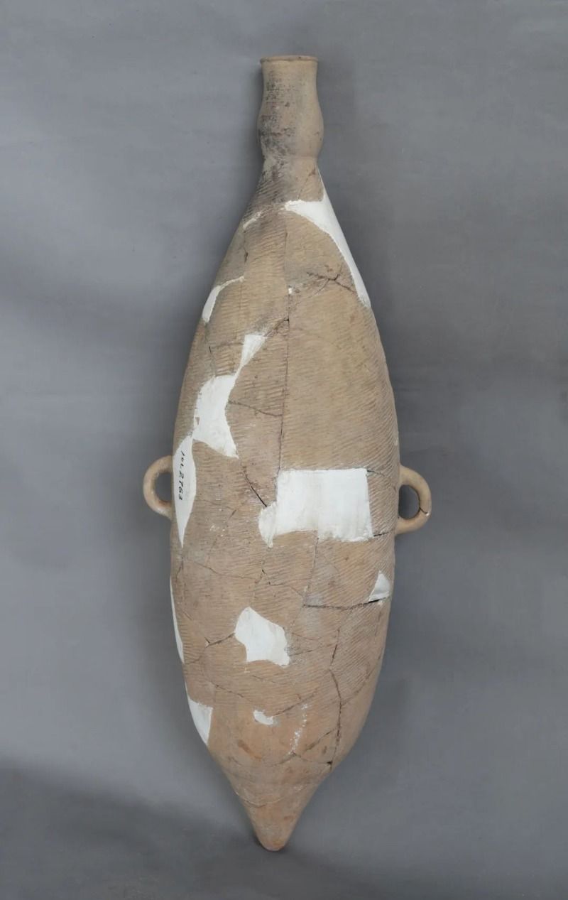 1756869893552467.jpg edefc6ef4fb24c9ba45f31ceb9667558.jpg