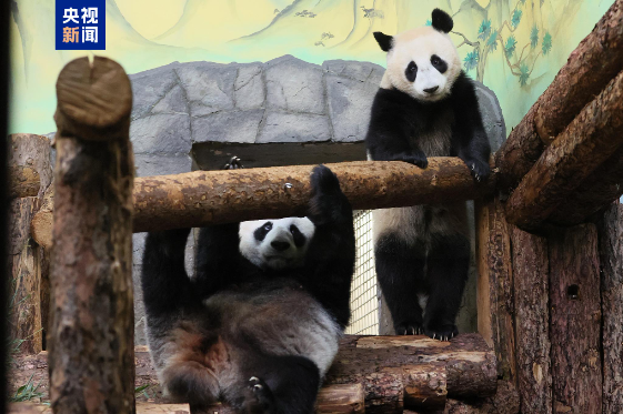 1746762862381023.png 1746762853635.png