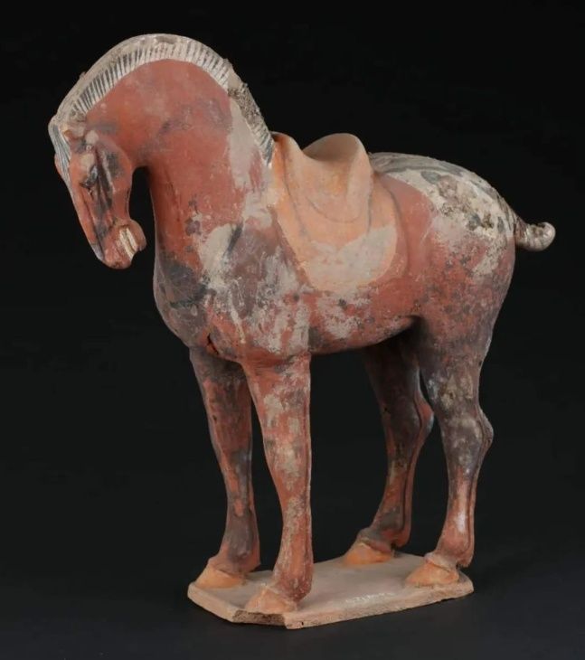 1760171024851723.jpg 35151cb3d3514e079b0b65e121b178d5.jpg