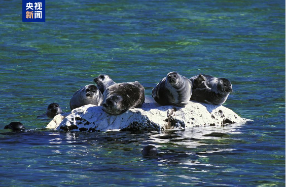 1746762481255171.png 1746762473976.png