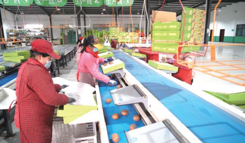 1769387253891167.png 微信图片_20260126082716.png